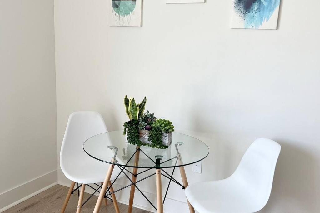 Studio Apartment, Queen Bed, Wifi, Kitchen, Washer & Dryer In Charlotte Eksteriør billede